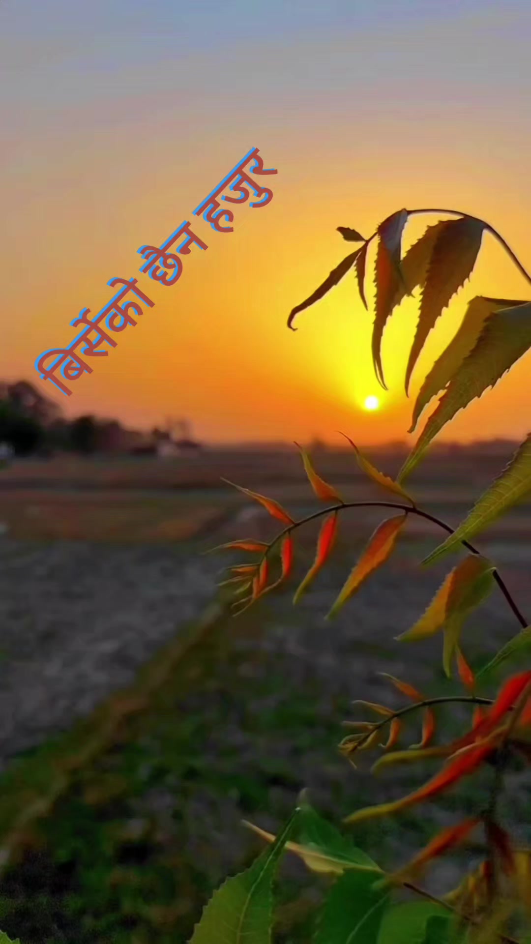 @Sujan Singh