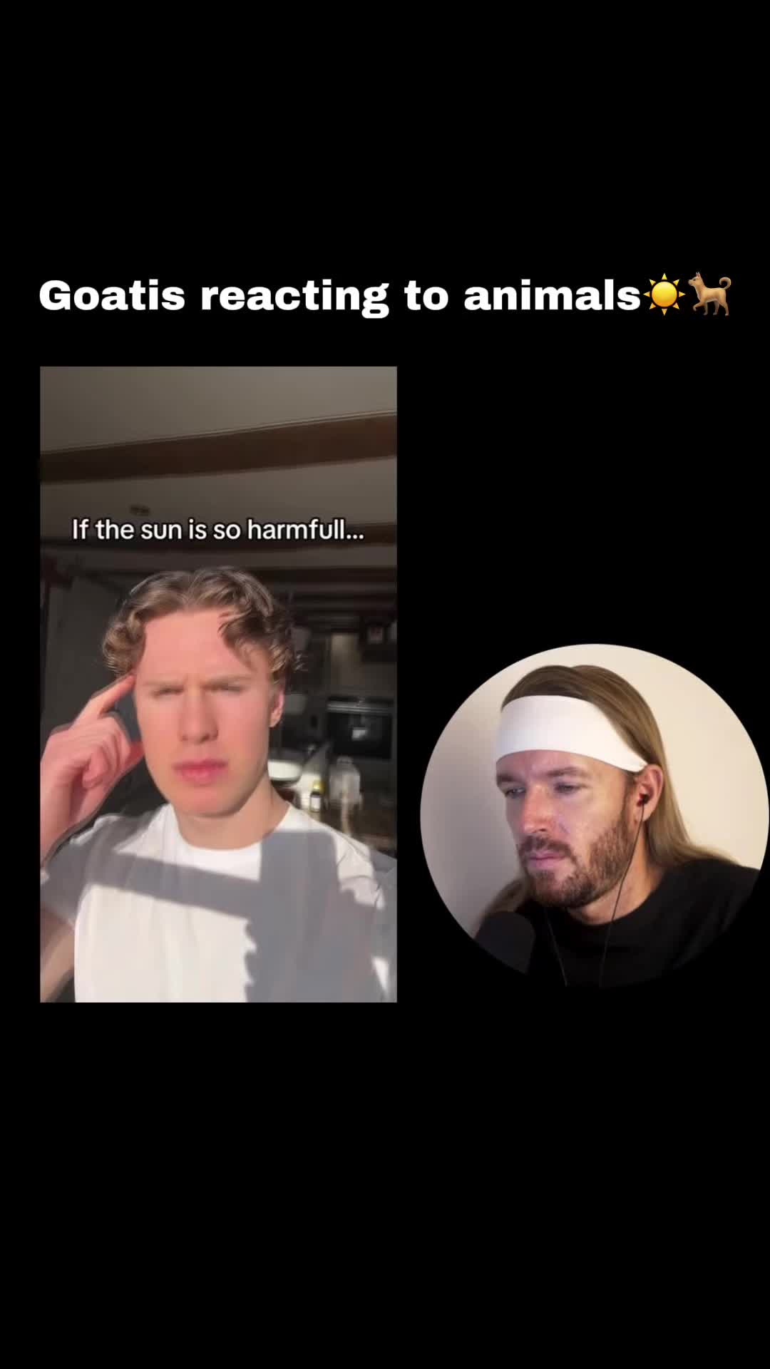 @v1vid.y4z