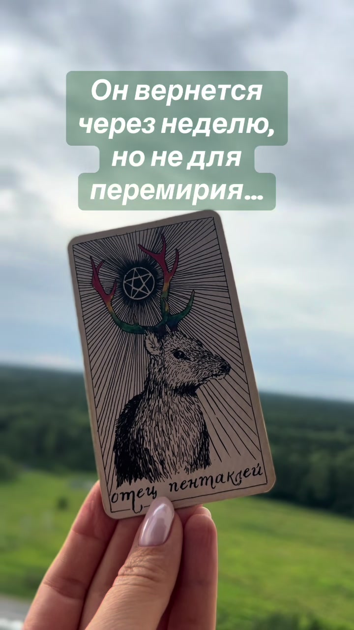 @tarolog__katrin_