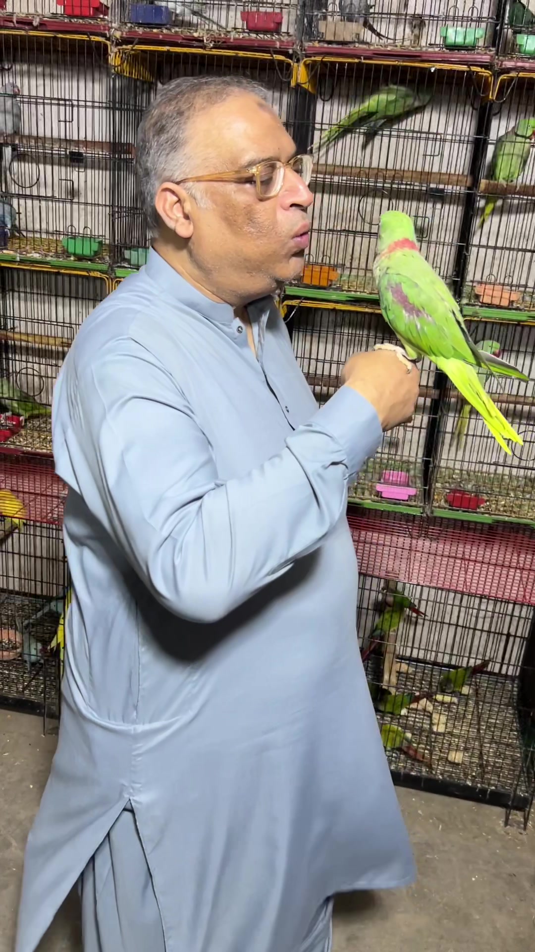 @Usama pet shop Karachi
