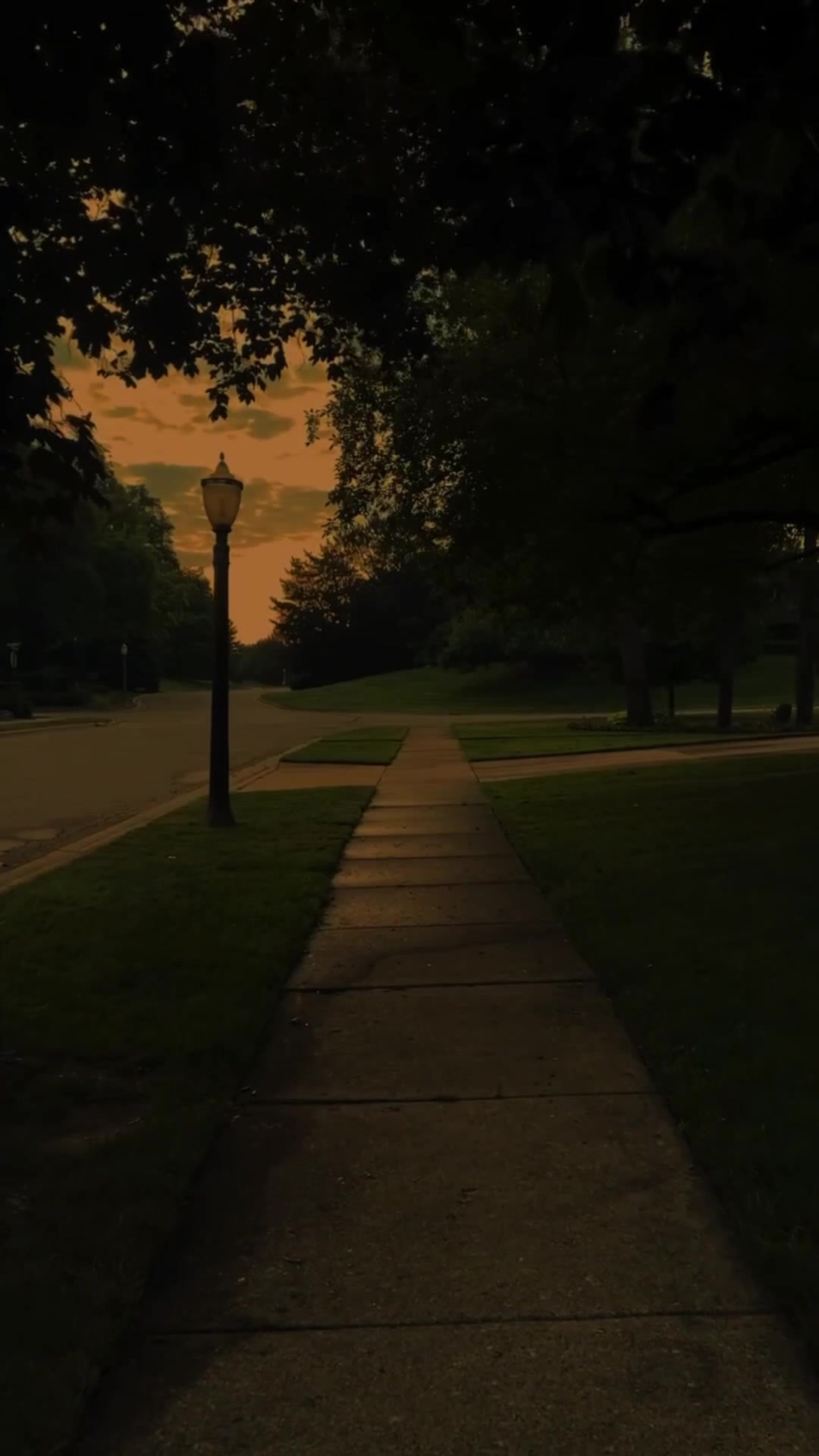 @𝐂𝐀𝐋𝐌 𝐕𝐈𝐁𝐄𝐒