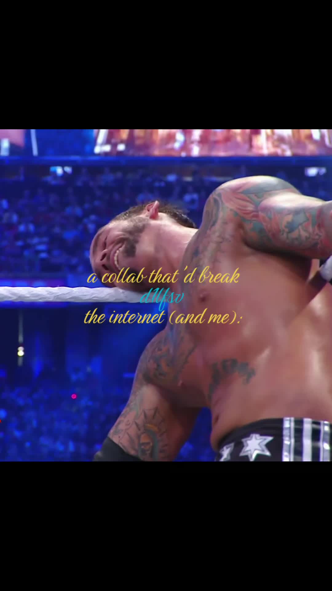 @★kaitlyn (cm punk's version)