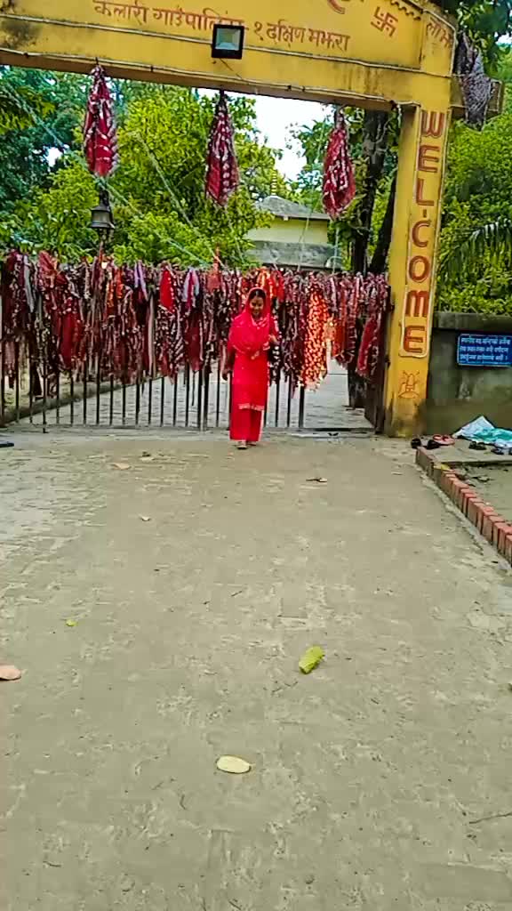 @madhuchaudhary610