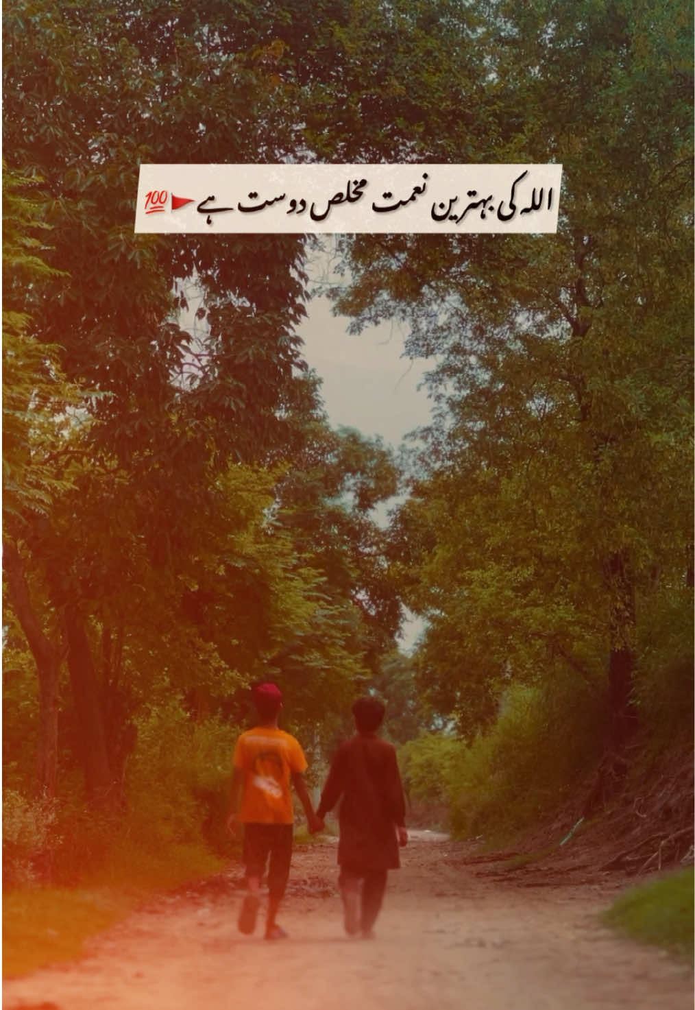 @پنجاب❤️&zwj;🩹