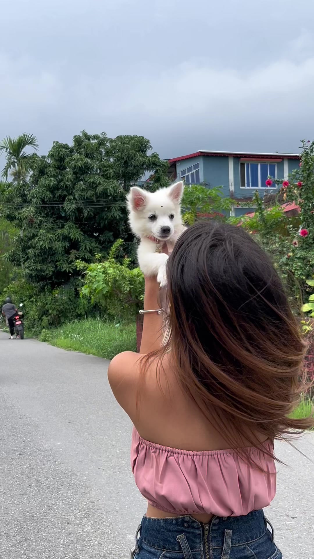 @alli.thapa