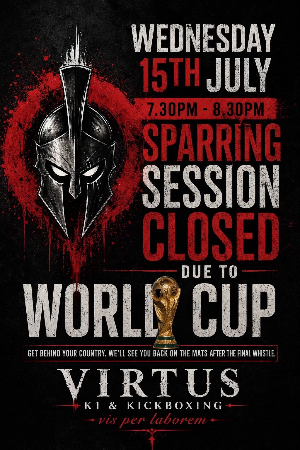 @Virtus kickboxing