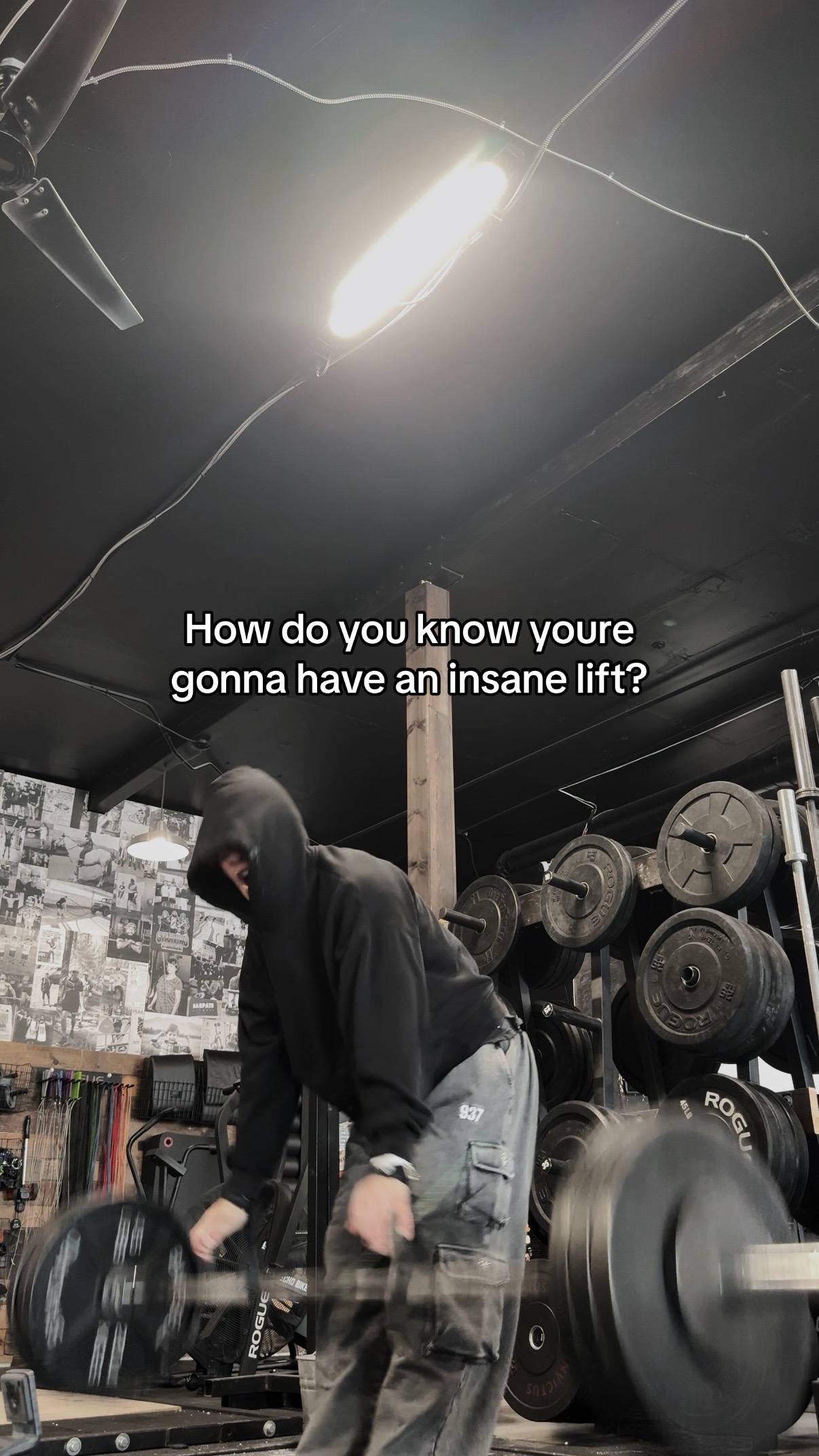 @Fx_fit