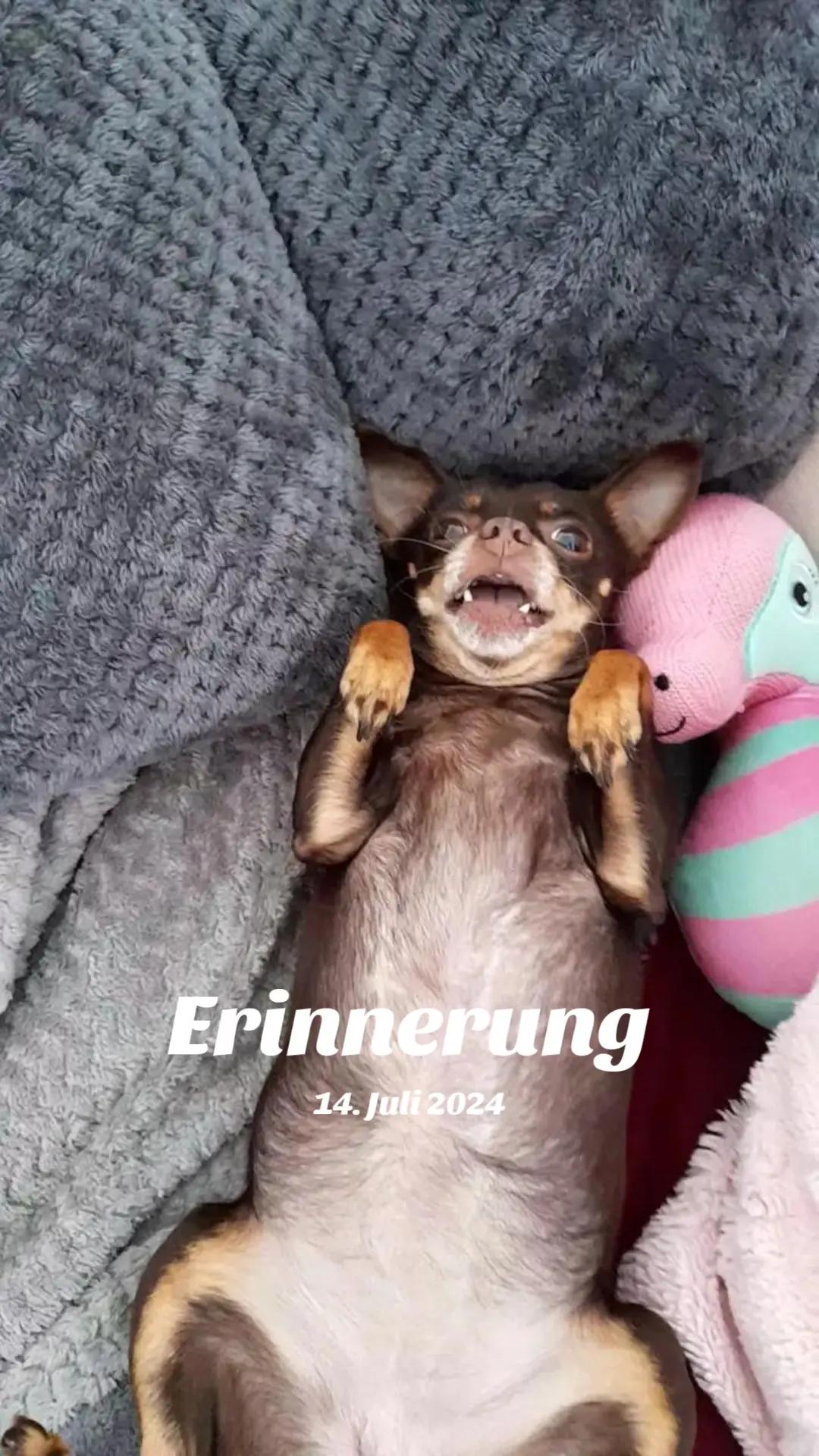 @ElJane