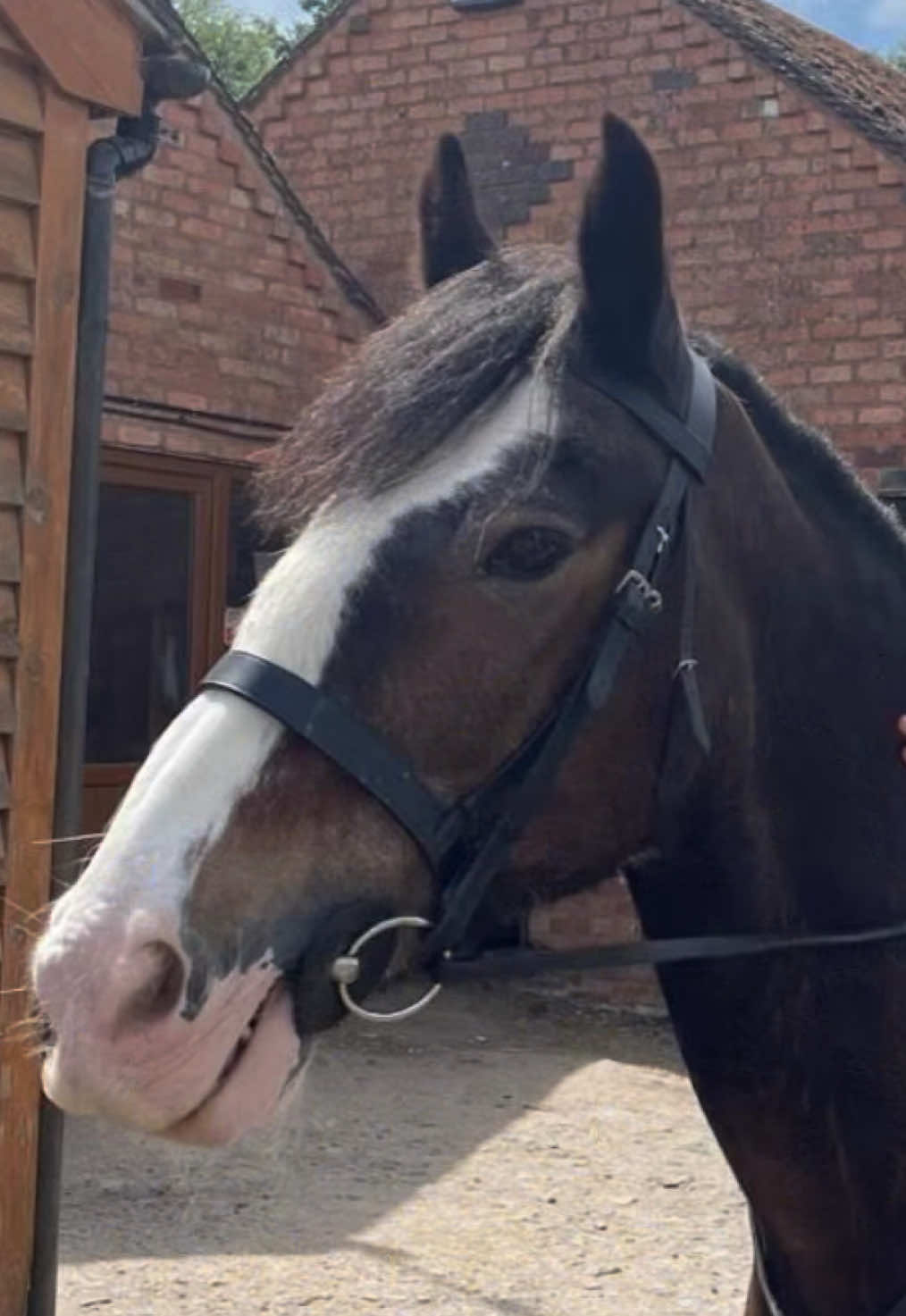 @Moor Farm Stables