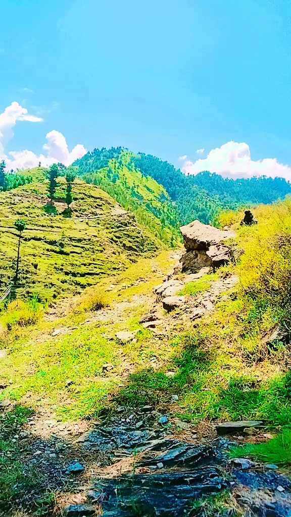 @Musa Bhai65