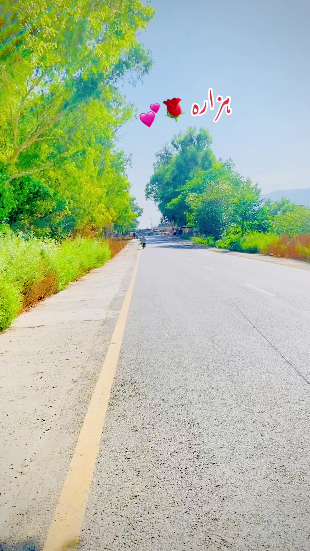 @🚩💕تنو لی صاحب💕🚩