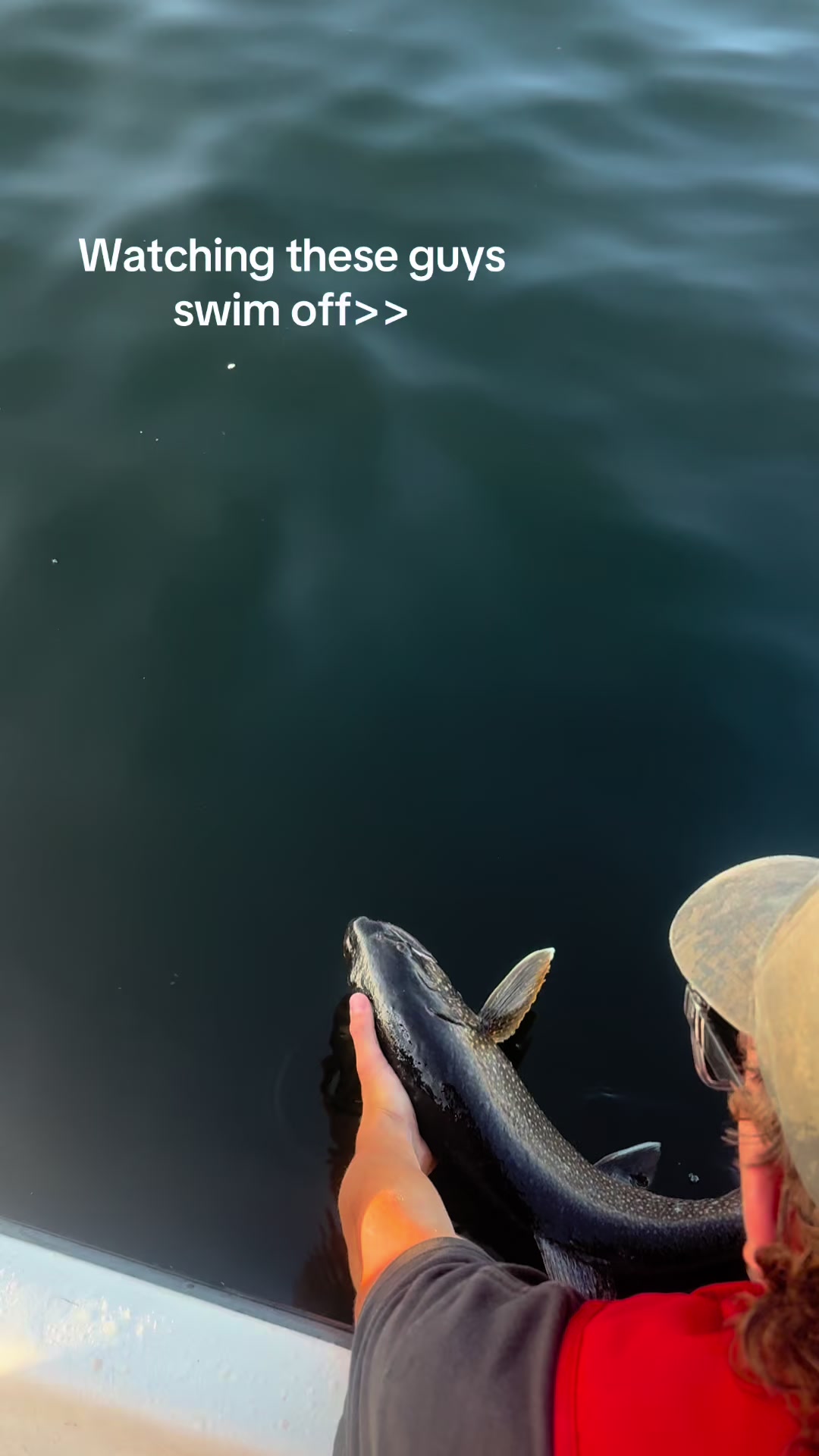 @Loganthefish🐟