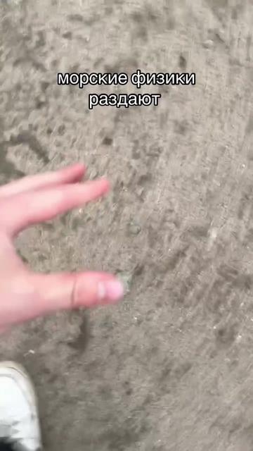 @МИША ФИЗИК | ОГЭ И ЕГЭ