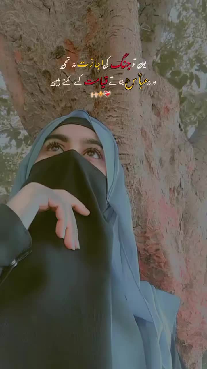 @Alina batool💔🕊🕊❣️