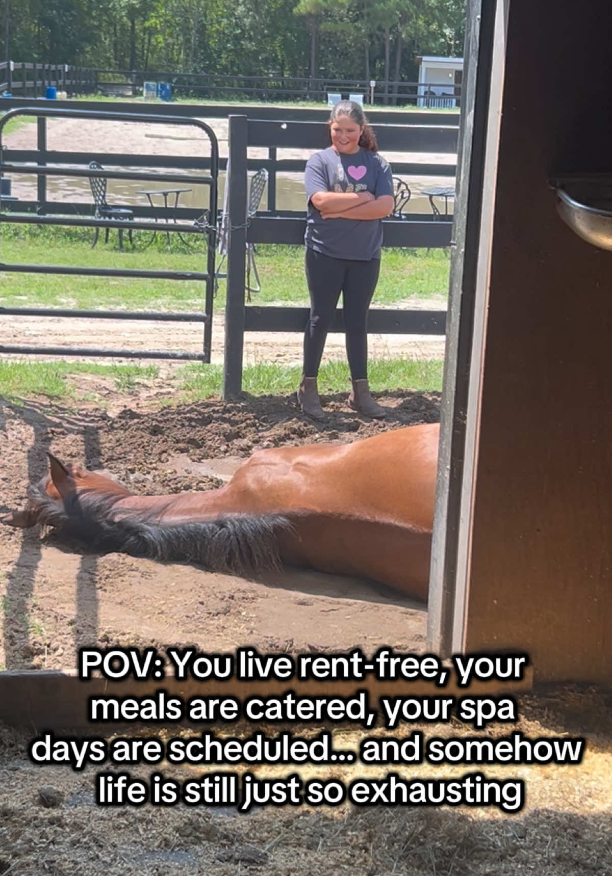 @Lacy & Shooter the OTTB