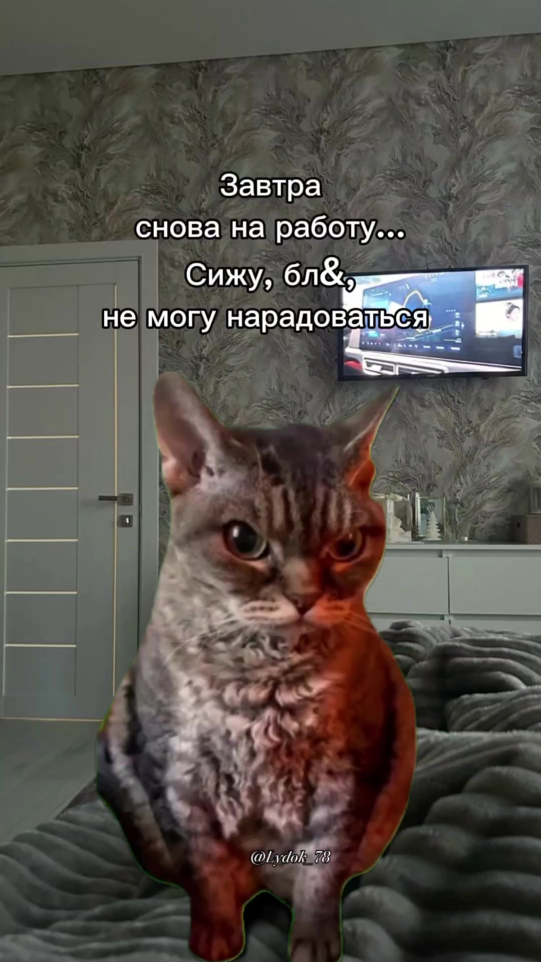 @𝑳𝒚𝒅𝒎𝒊𝒍𝒌𝒂シ︎