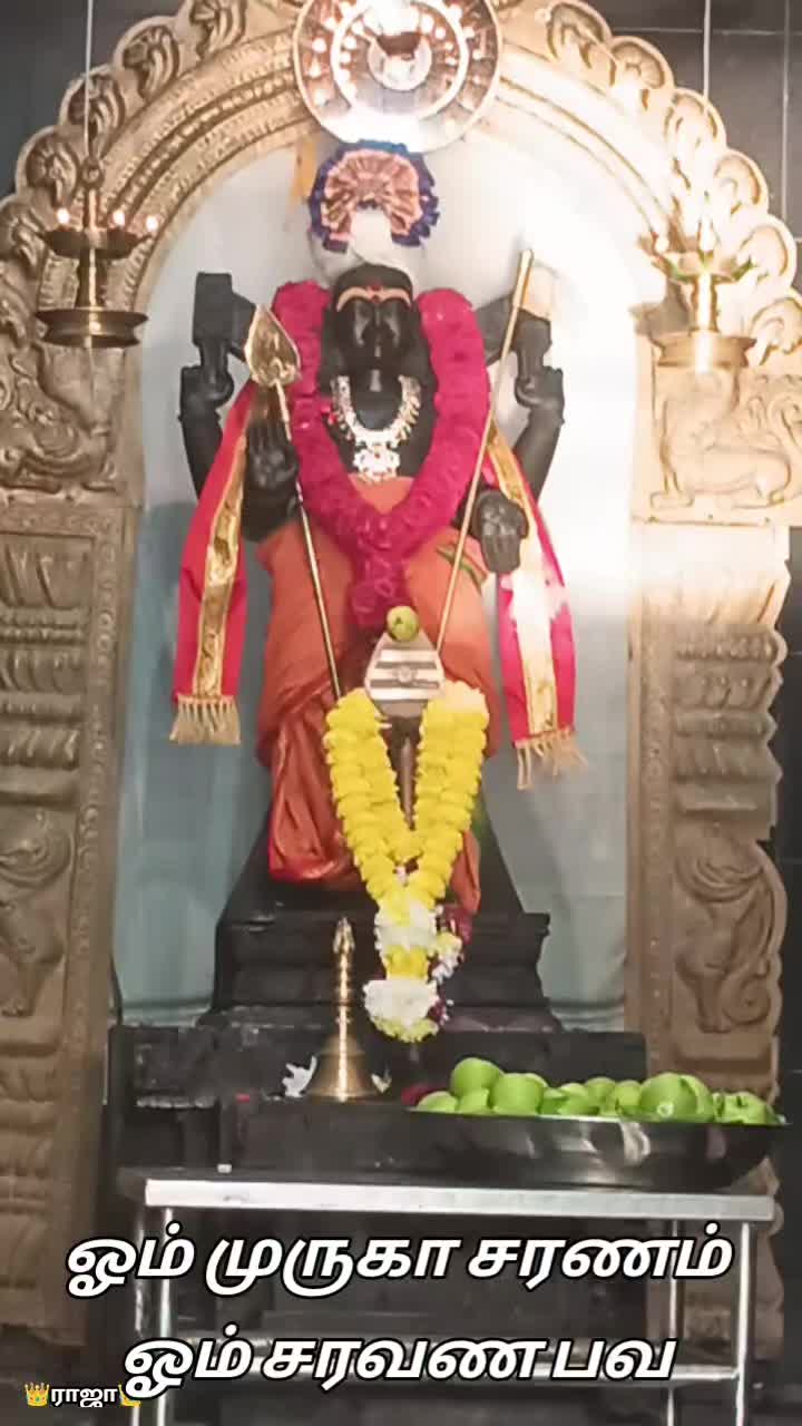 @sree_raj