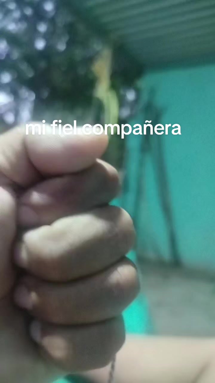 @Jose Manuel Ortiz Ce