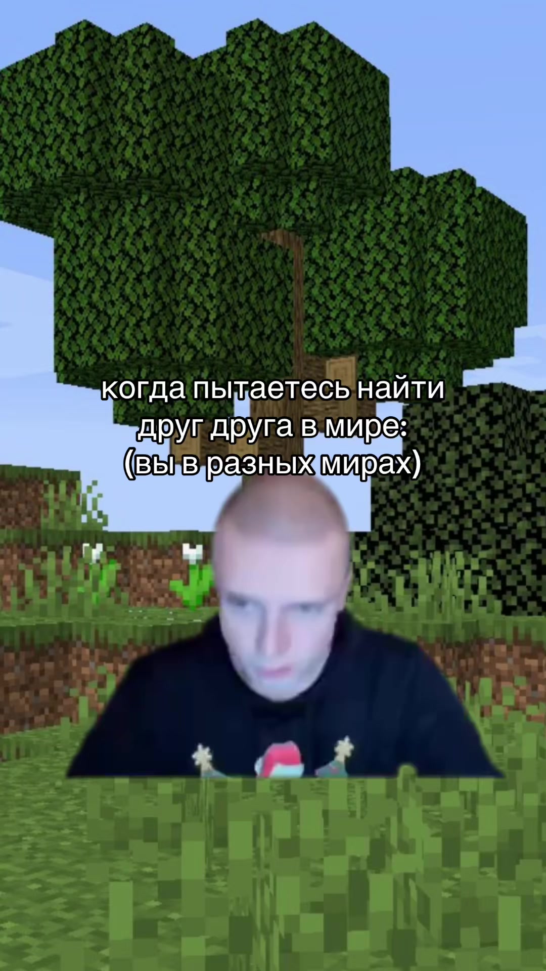 @майнкрафт мемы