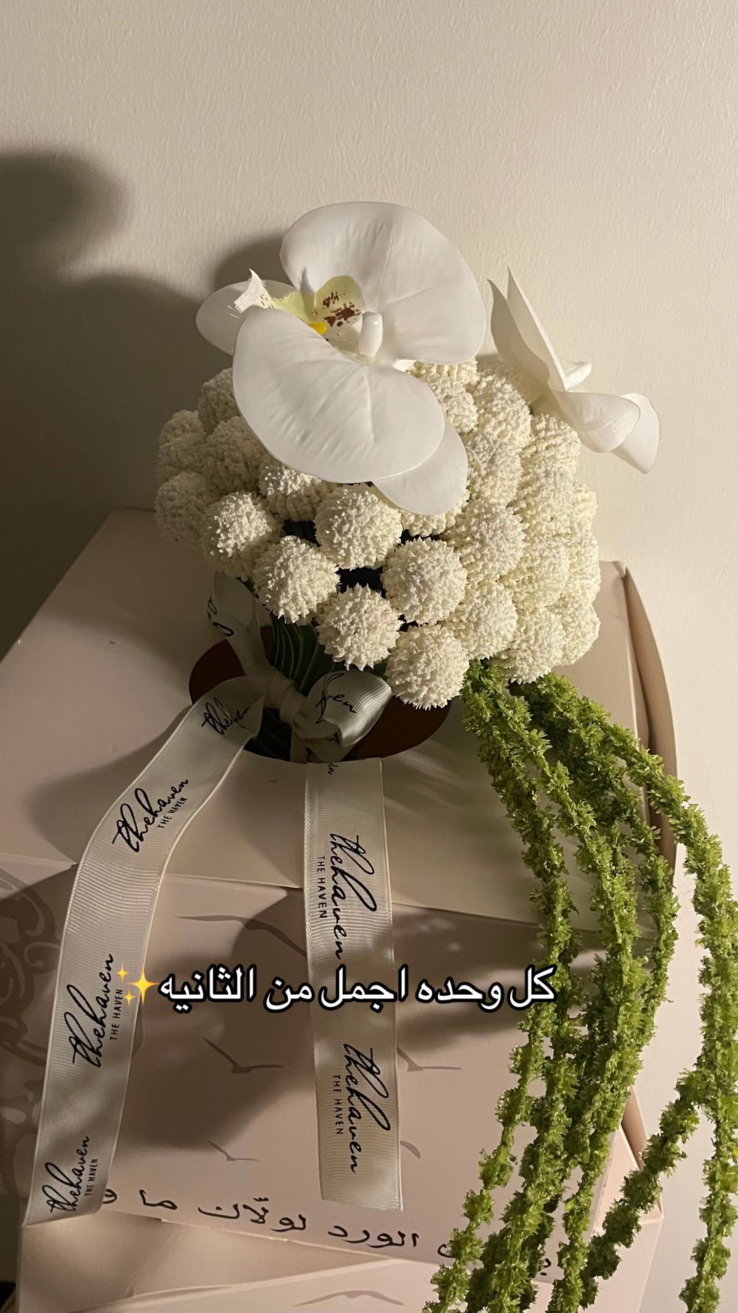 @HAVEN | هيفن
