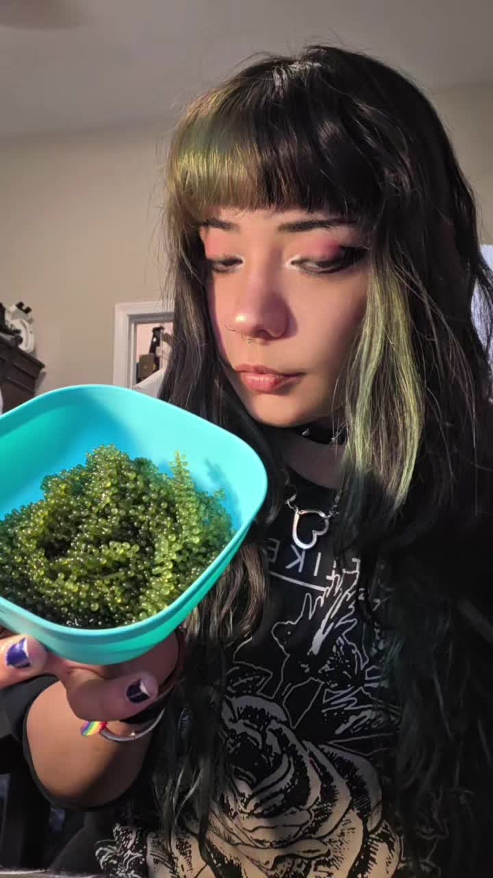 @Celery