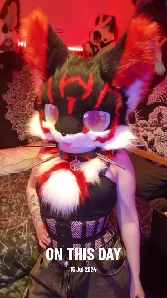 @Bailey (lilpixiekitten)