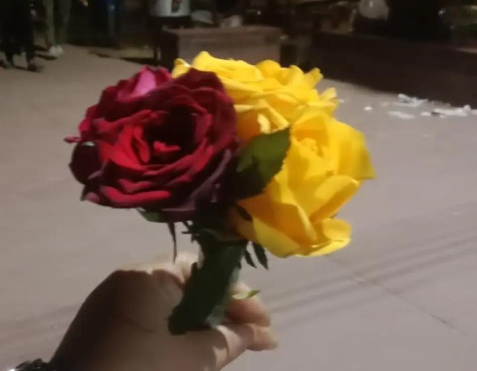 @নীল আকাশের তাঁরা