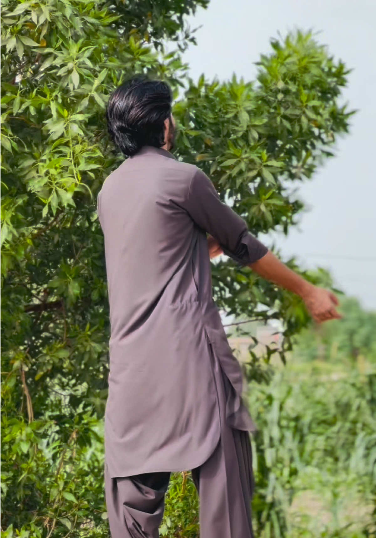 @Meer Siraj khan Jatoi 👑