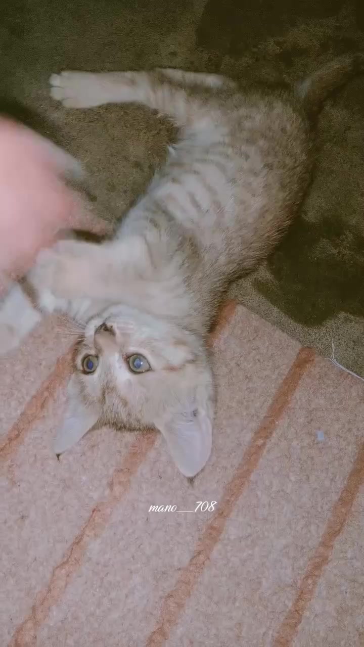 @mano__708