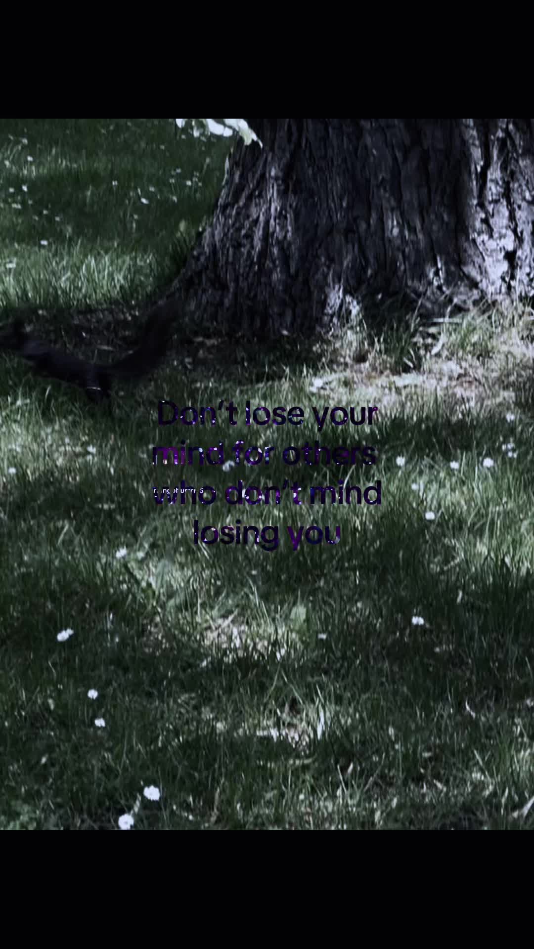 @🤍🐈&zwj;⬛