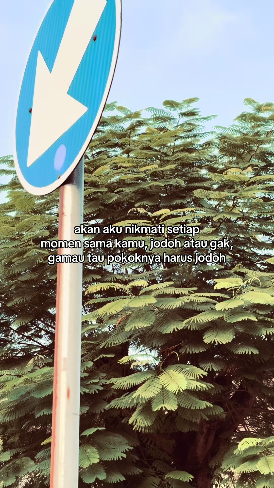 @ㅤ