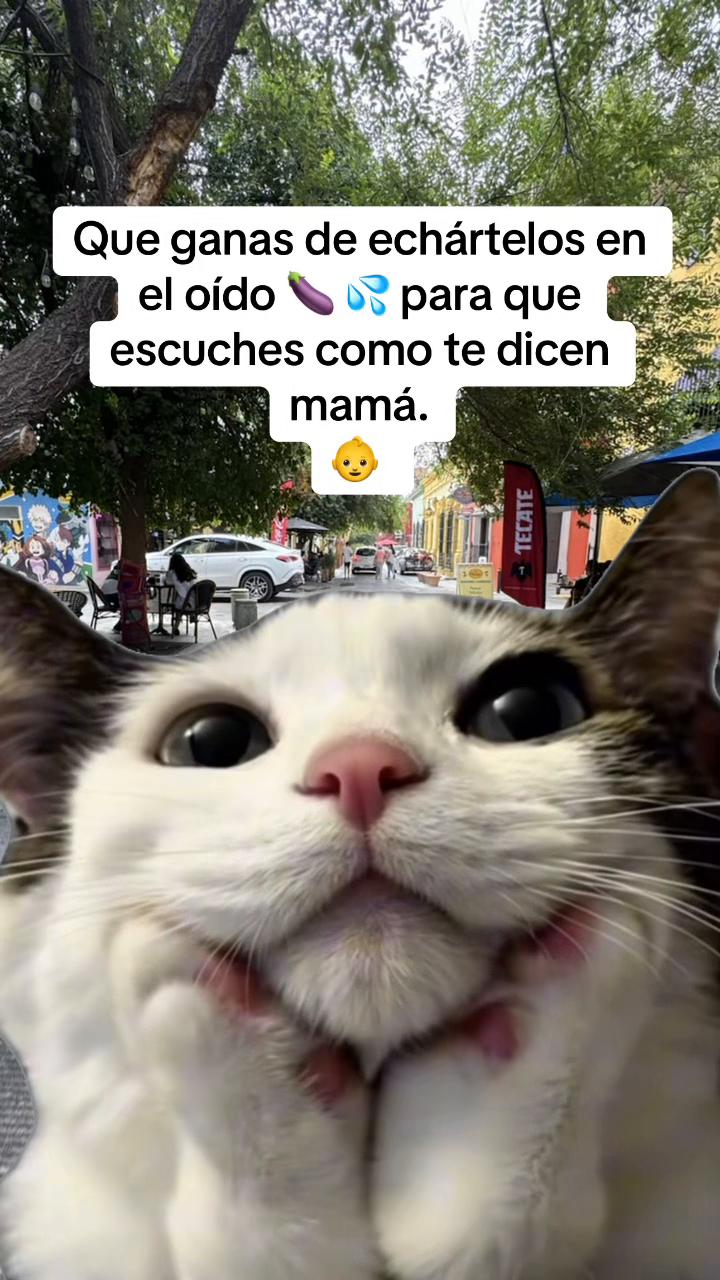@Osiel Hernandez II