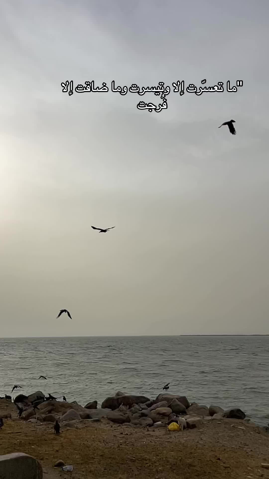 @خواطر عيوش✍🏼