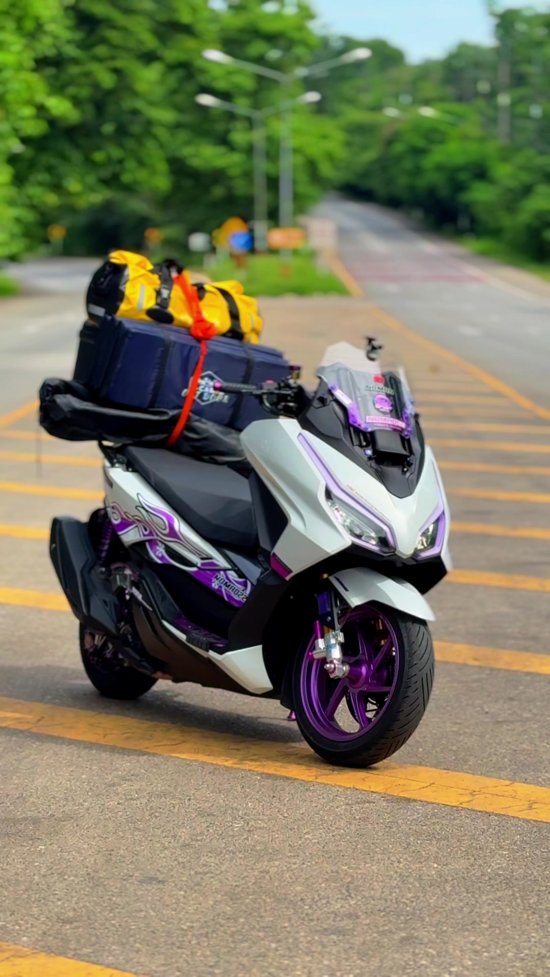 @💜𝑵𝑶𝑴𝑨𝑫💜