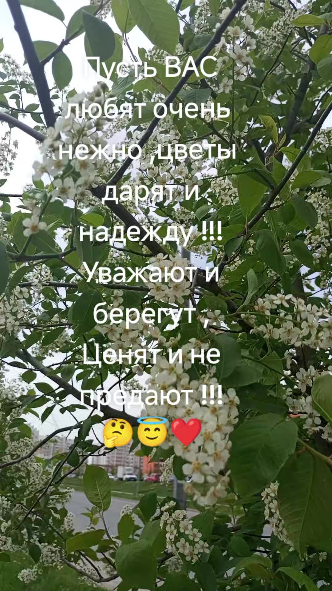 @Ангел дарит любовь