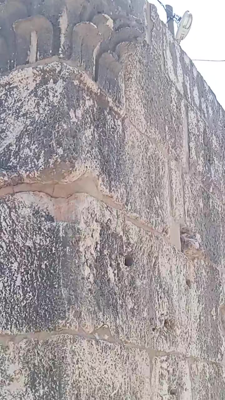 @elfidamm