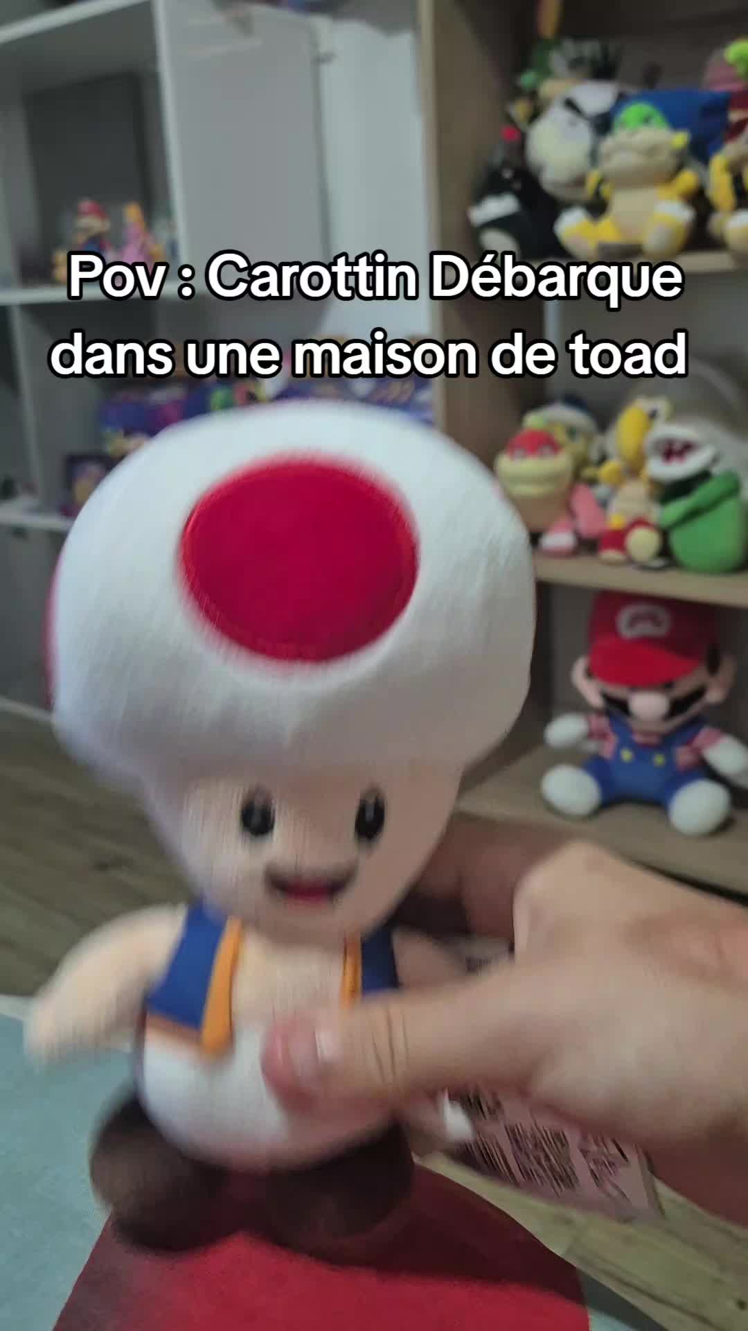 @peluchemario64