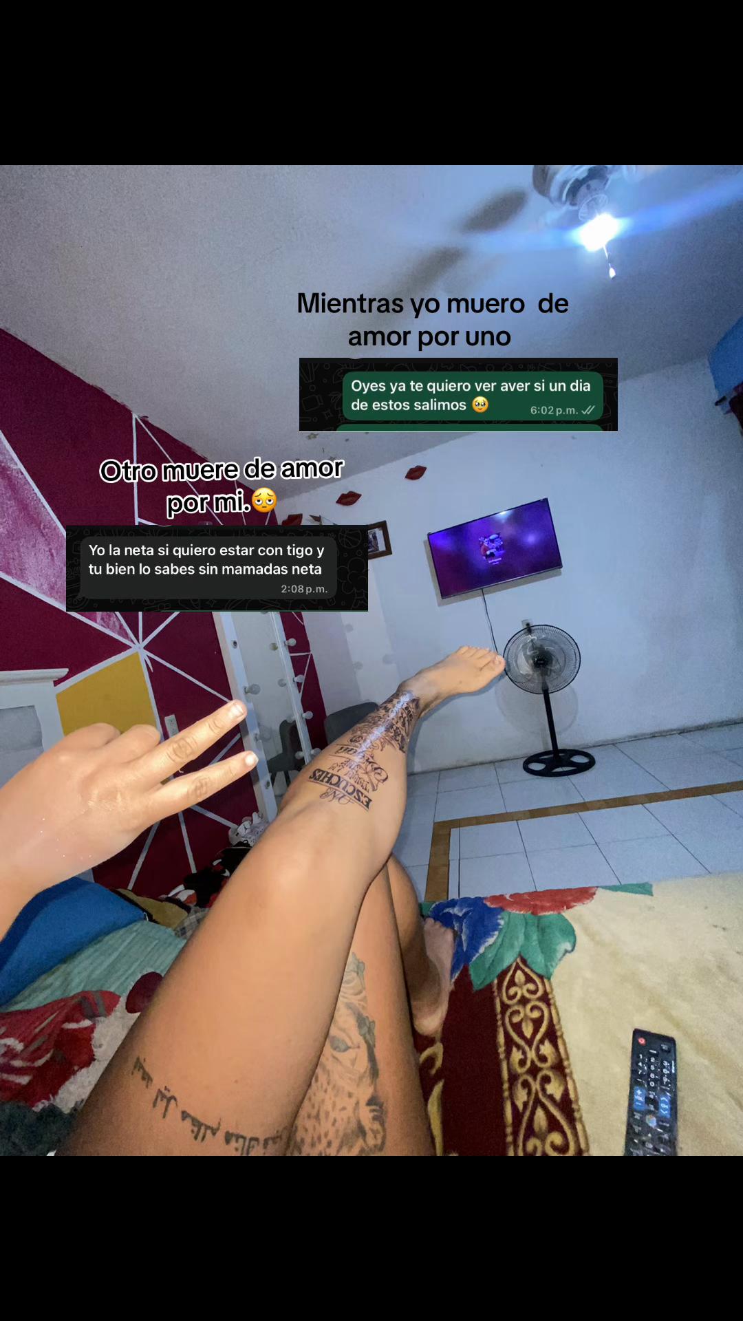 @Jocelin Palomino