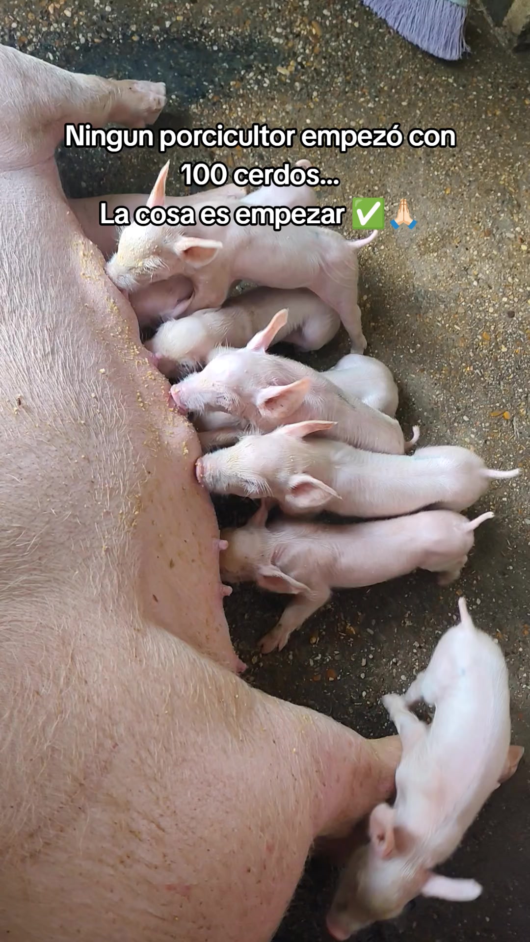 @Mar&iacute;a  Vega🌻🇻🇪