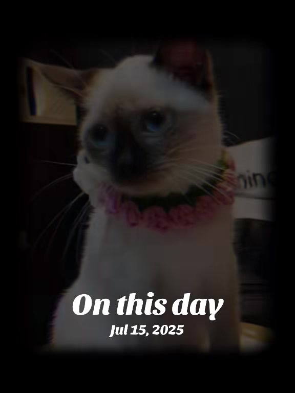 @TheCatFather
