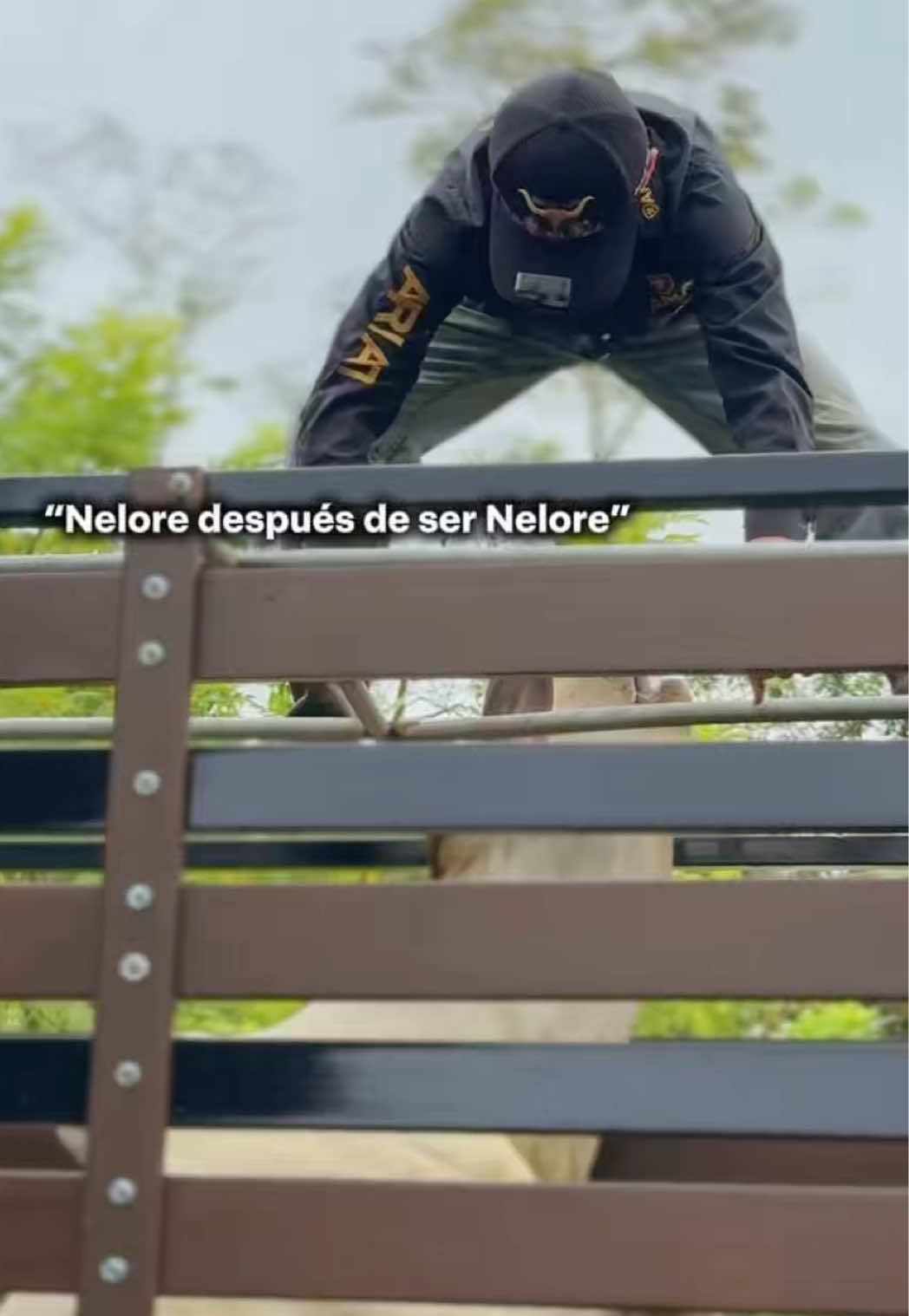 @C.Vargas
