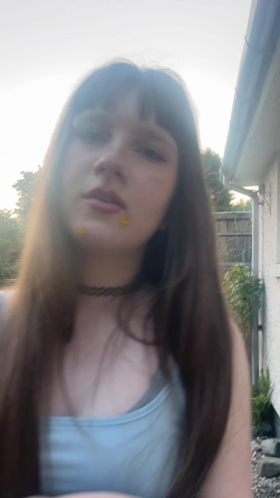 @ShiningLizard123