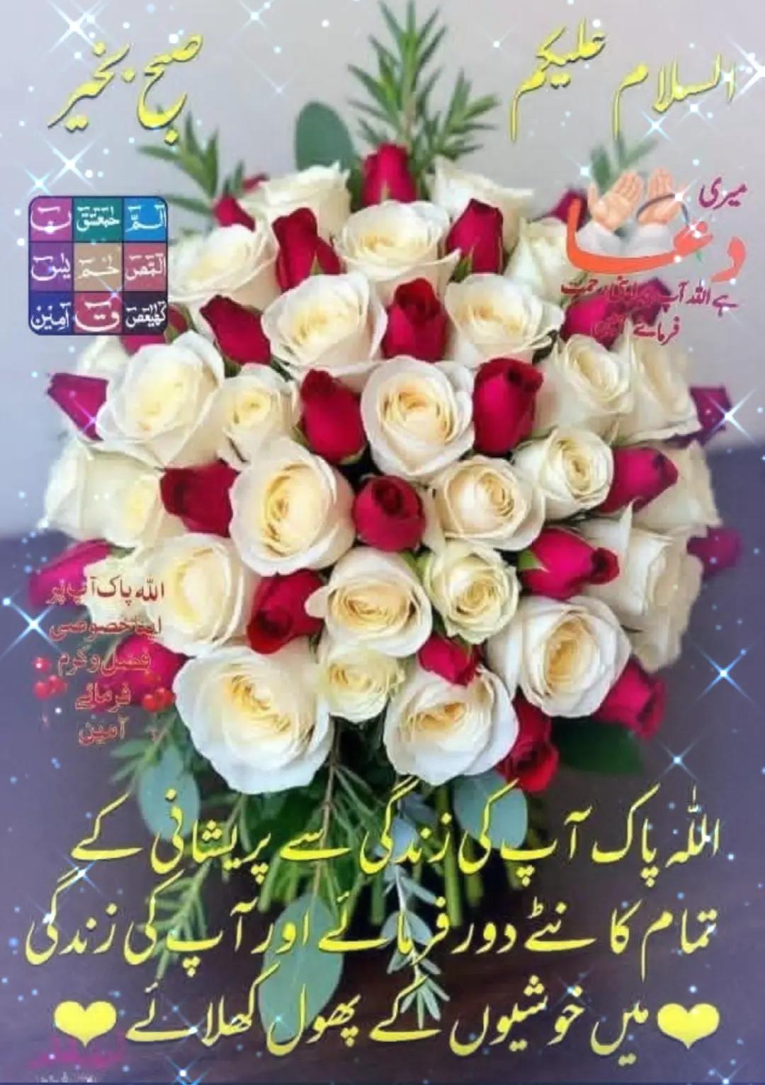 @Koko Khan