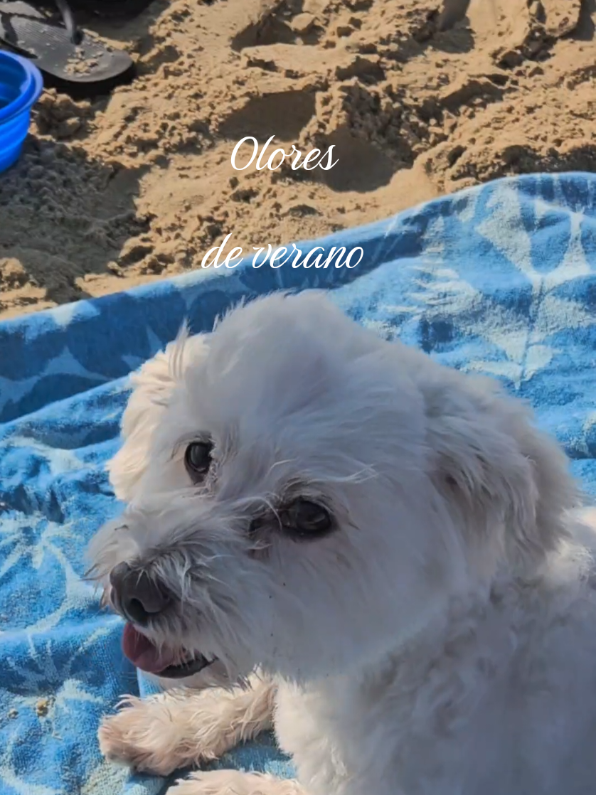 @✨️Cristina