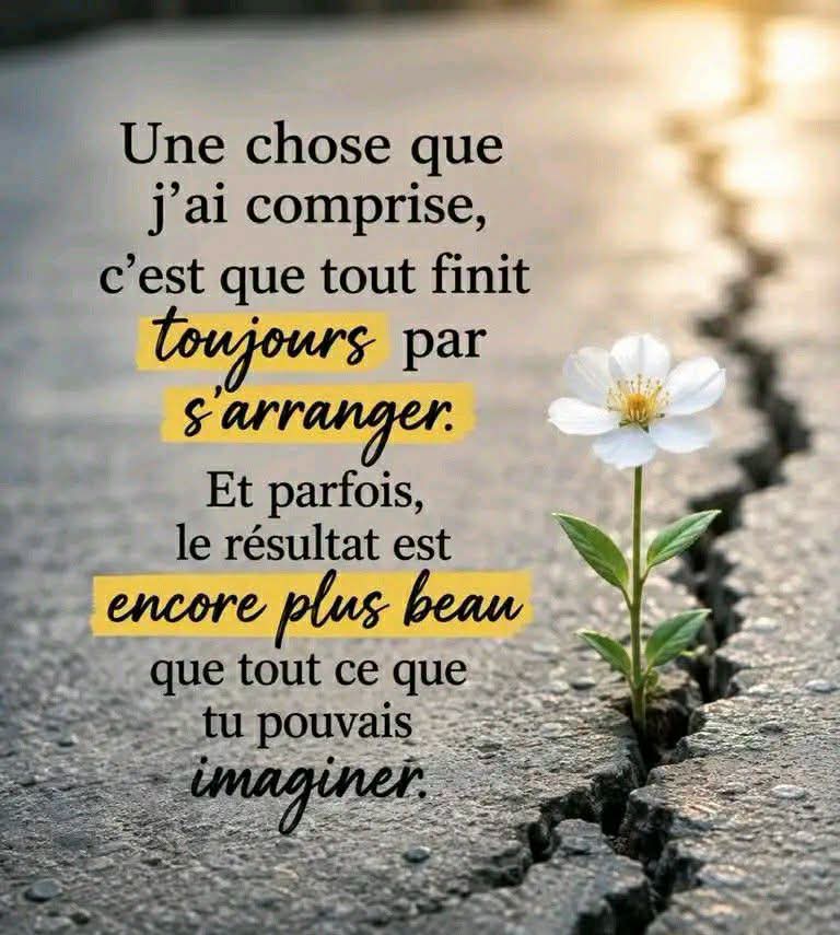 @LE VOYAGEUR🌍🏳️&zwj;🌈