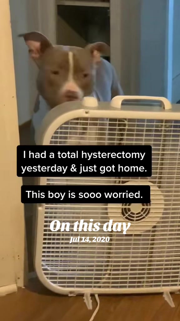 @Pittie Mom