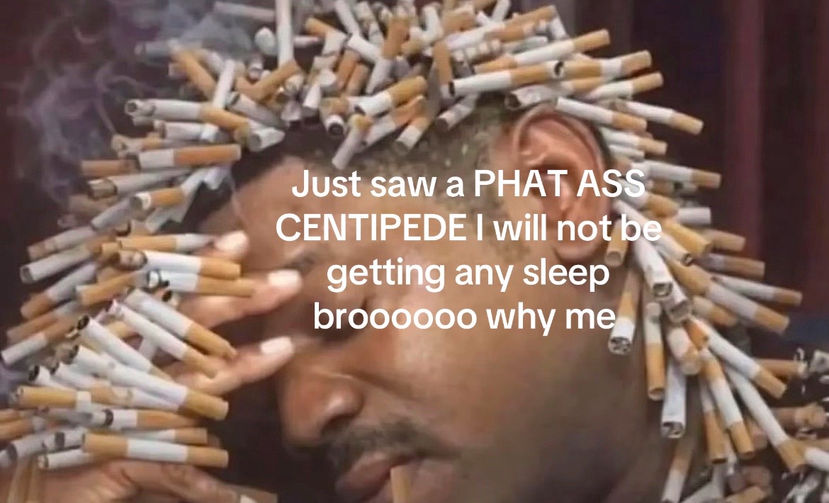@THE LIFE OF ELAYYY!