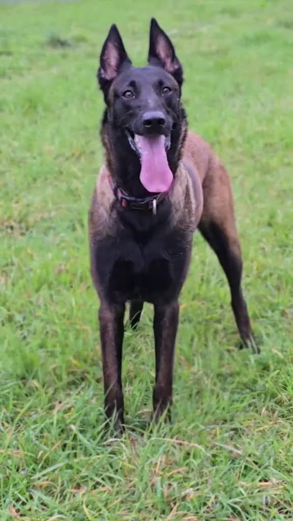 @TIA 🔥❤️&zwj;🔥