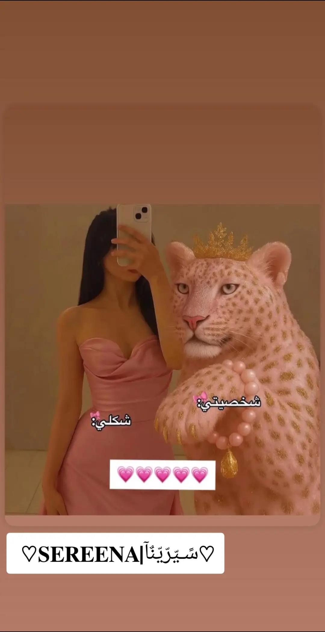 @🤟𝐒𝐄𝐑𝐄𝐄𝐍𝐀سًـيّرّيّنٌآ🤟