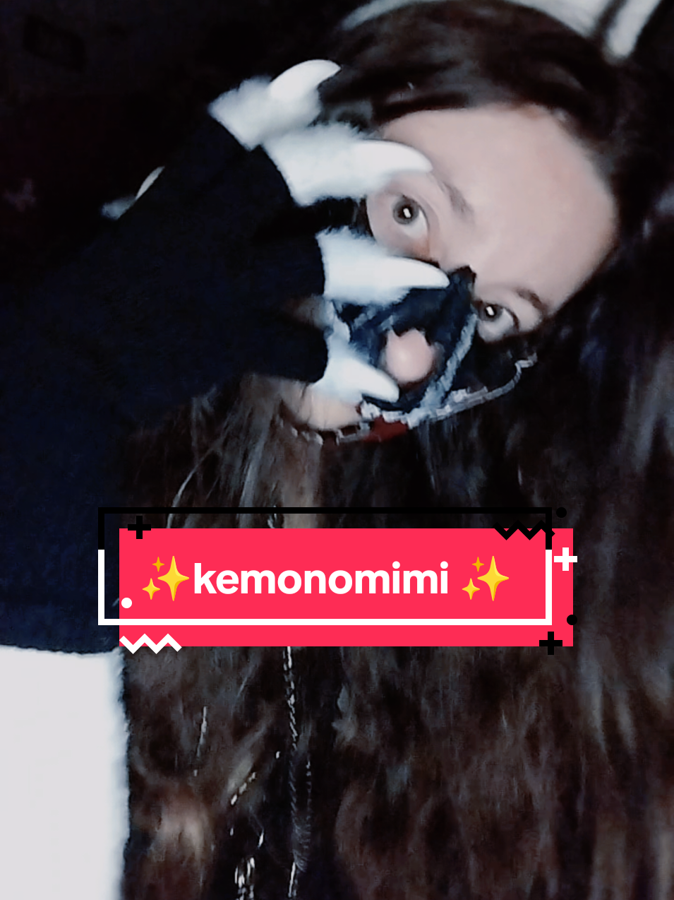 @🐺blackwolf.and.calicocat😺
